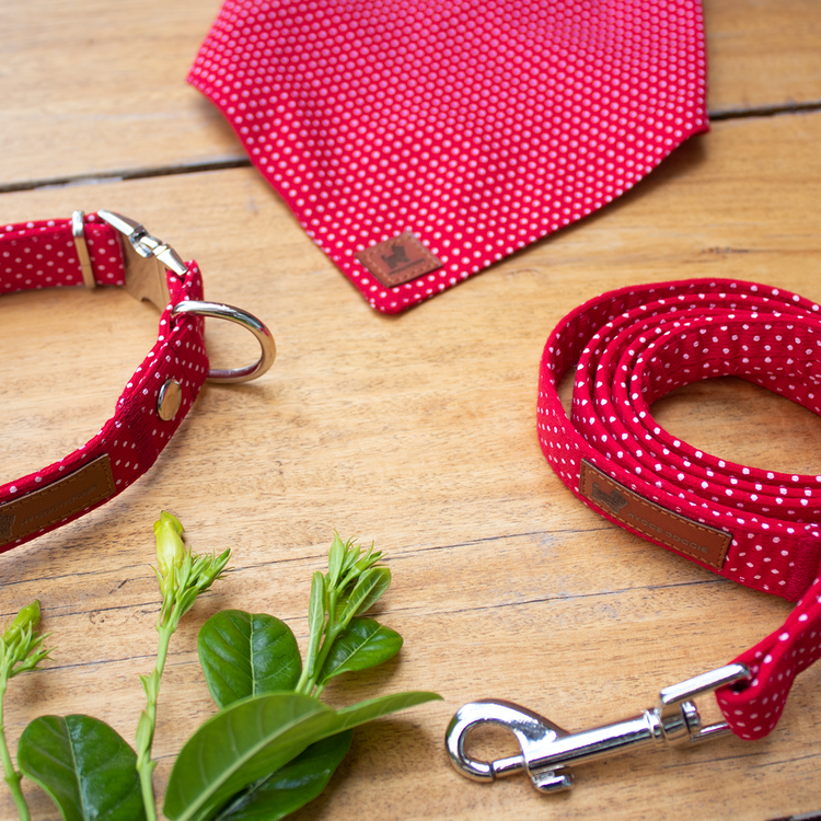 Dotted RED