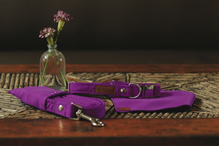 Jacaranda
