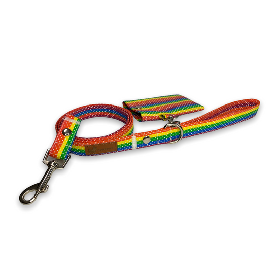 colorful leash