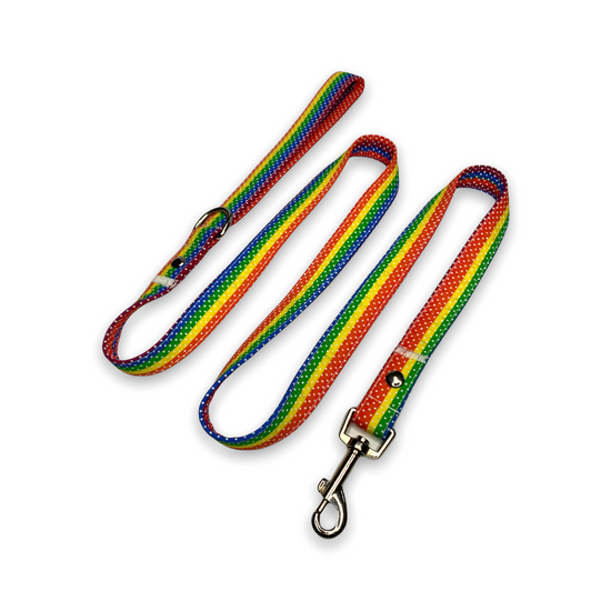 colorful leash