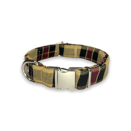 Scottish Brown Collar