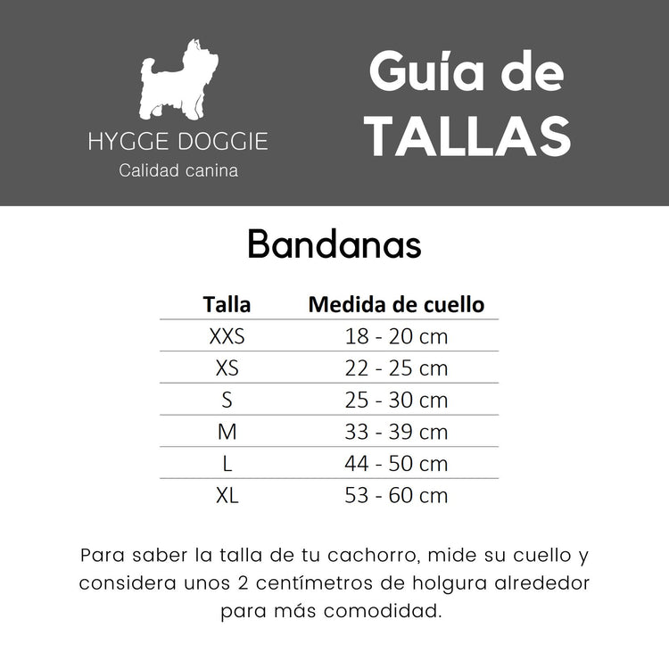 Shining Flamenco Bandana Bandana Hygge Doggie 